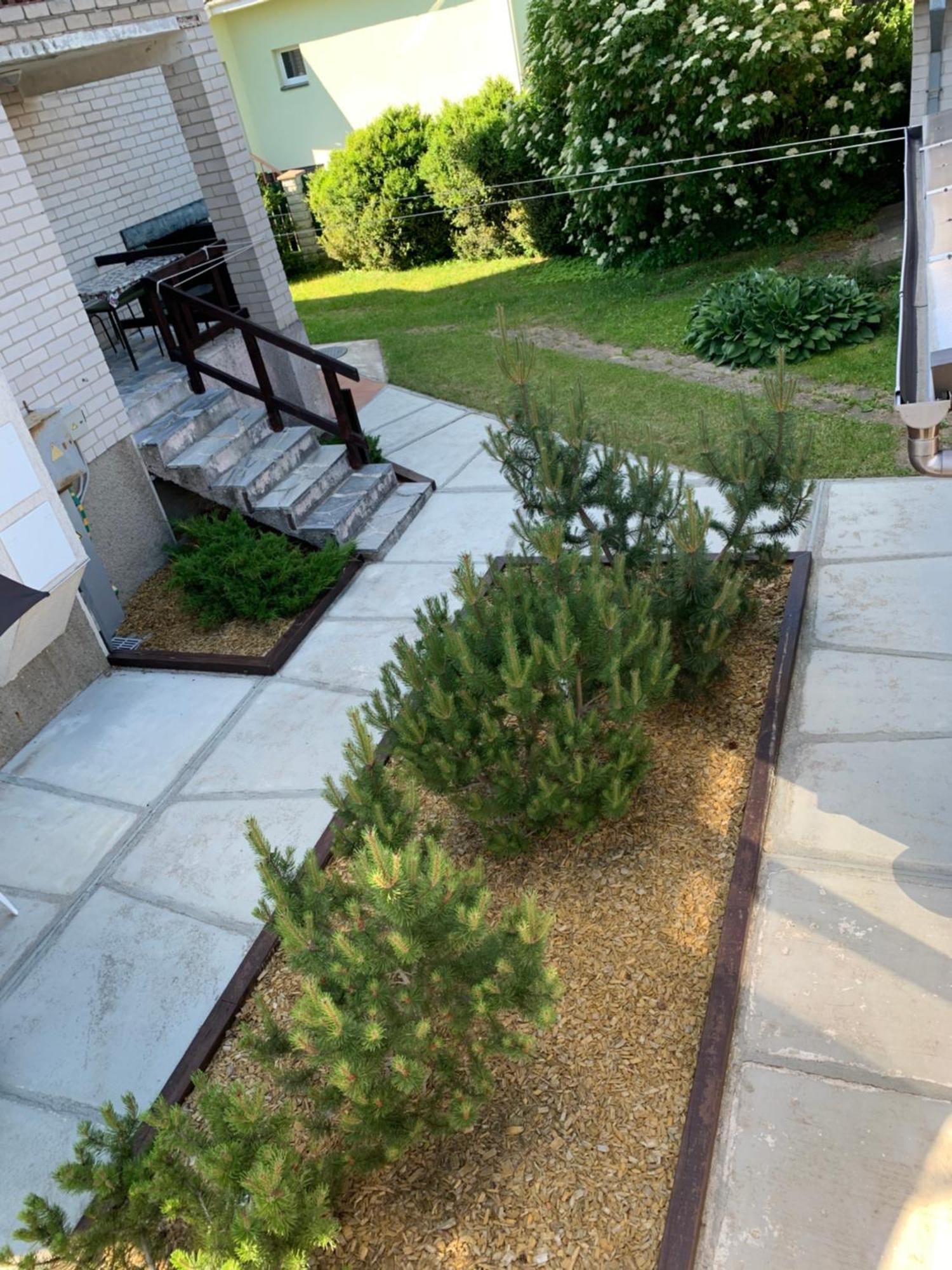 Guesthouse Sveciuose Pas Grazina Palanga Eksteriør billede